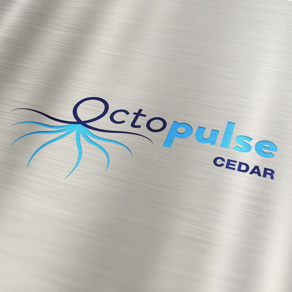 Logo pour le detecteur octopulse